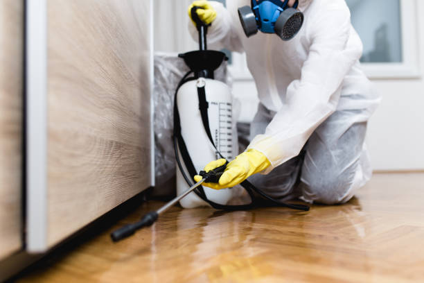 Best Bed Bug Extermination  in Shell Ridge, CA