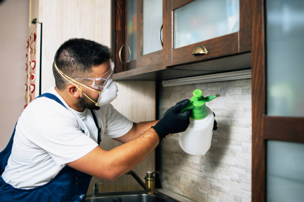 Best Affordable Pest Control Services  in Shell Ridge, CA