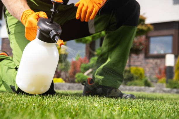 Best Pest Prevention Services  in Shell Ridge, CA