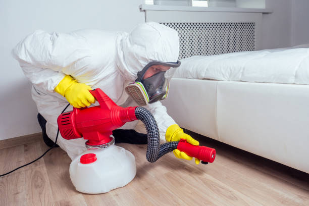 Best Wasp Removal Services  in Shell Ridge, CA