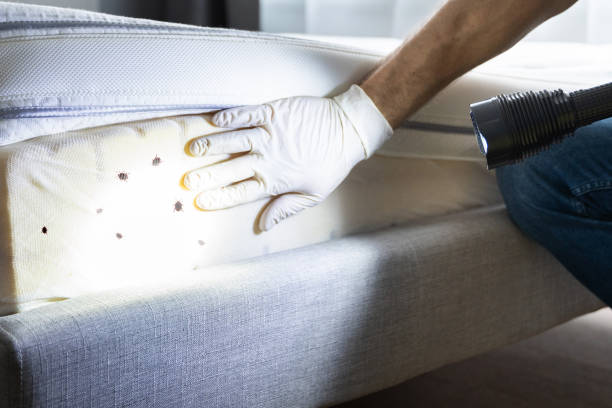 Best Pest Control Near Me  in Shell Ridge, CA